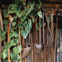 Buy canvas prints of Tools / Garden Shed / Essex by Liam Grant