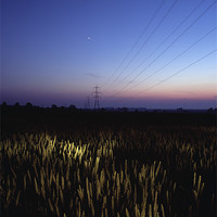 Buy canvas prints of Torchlight at Twilight, Bradenham, Norfolk by Liam Grant