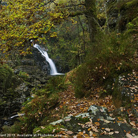 Buy canvas prints of Pistyll y Cain Falls/North Wales by Liam Grant