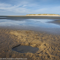 Buy canvas prints of Paw prints in the sand, Wells-next-the-sea. by Liam Grant