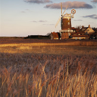 Buy canvas prints of Reed beds at sunset with Cley Mill beyond. by Liam Grant