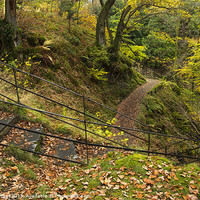 Buy canvas prints of Steps at Aira Force. Near Ullswater, Lake District by Liam Grant