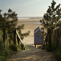 Buy canvas prints of Beach hut and path to beach. Wells-next-the-sea, N by Liam Grant