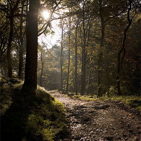 Buy canvas prints of Sunrise at Skelwith force, Elterwater, Lake Distri by Liam Grant