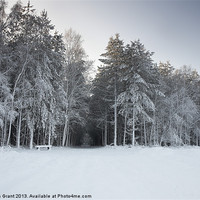 Buy canvas prints of Snow, Thetford Forest, Norfolk, United Kingdom, Wi by Liam Grant