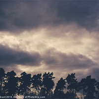 Buy canvas prints of Rainclouds at sunset. Lynford, Norfolk, UK. by Liam Grant