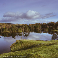 Buy canvas prints of Tarn Hows and view towards Tom Heights. Lake Distr by Liam Grant