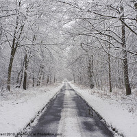 Buy canvas prints of Remote snow covered road through Beech woodland. by Liam Grant