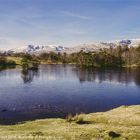 Buy canvas prints of Frozen surface. Tarn Hows, Lake District, Cumbria, by Liam Grant