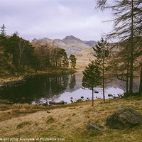 Buy canvas prints of Frozen Blea Tarn and Langdale Pikes. Lake District by Liam Grant