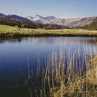 Buy canvas prints of Langdale Pikes and River Brathay. Elterwater. by Liam Grant