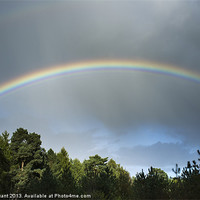 Buy canvas prints of Rainbow over Thetford Forest. Norfolk, UK by Liam Grant