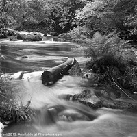 Buy canvas prints of River upstream of Aira Force, Lake District. by Liam Grant