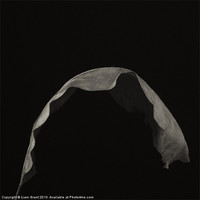 Buy canvas prints of Project Decay. Beech leaf by Liam Grant