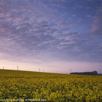 Buy canvas prints of Oilseed rape field and wind farm at sunrise. by Liam Grant
