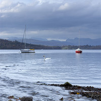 Buy canvas prints of Boats on Lake Windermere with Langdale Pikes beyon by Liam Grant