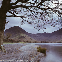 Buy canvas prints of View of Fleetwith Pike and Haystacks above Butterm by Liam Grant