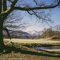 Buy canvas prints of Langdale Pikes. Elterwater. by Liam Grant