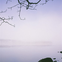 Buy canvas prints of Dawn mist and reflections. Windermere. by Liam Grant
