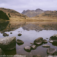 Buy canvas prints of Frozen Blea Tarn and Langdale Pikes. Lake District by Liam Grant