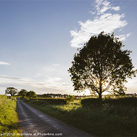 Buy canvas prints of Evening sunlight over a remote country road. East  by Liam Grant