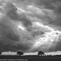 Buy canvas prints of Birds flying in front of a dramatic sky. by Liam Grant