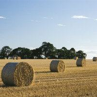 Buy canvas prints of Evening light over round bales of straw in a recen by Liam Grant