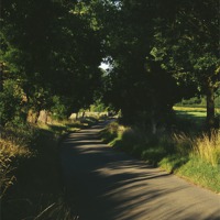 Buy canvas prints of Evening light on a small country road lined with O by Liam Grant