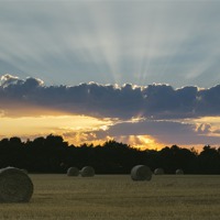 Buy canvas prints of Field of round straw bales at sunset. by Liam Grant