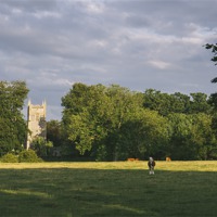 Buy canvas prints of Hilborough Church and cattle grazing in a field at by Liam Grant