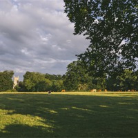 Buy canvas prints of Hilborough Church and cattle grazing in a field at by Liam Grant