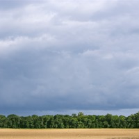 Buy canvas prints of Dramatic rainclouds over rural field by Liam Grant