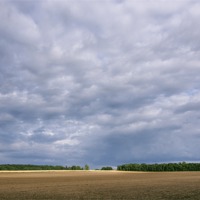 Buy canvas prints of Dramatic rainclouds over rural field by Liam Grant