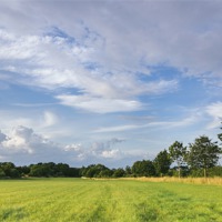 Buy canvas prints of Evening sky over rural grassland. Norfolk, UK. by Liam Grant