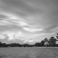 Buy canvas prints of Dramatic windswept trees and sky. by Liam Grant