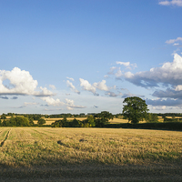 Buy canvas prints of Evening light over rural countryside. by Liam Grant