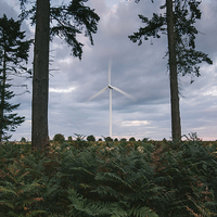 Buy canvas prints of Wind turbine framed between two trees at dusk. by Liam Grant