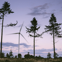 Buy canvas prints of Wind turbine framed between three trees at dusk tw by Liam Grant