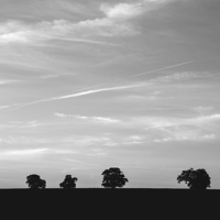 Buy canvas prints of Trees on the horizon below a twilight evening sky. by Liam Grant