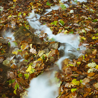 Buy canvas prints of Waterfall and autumnal leaves near Brothers Water. by Liam Grant