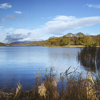 Buy canvas prints of Esthwaite Water. by Liam Grant