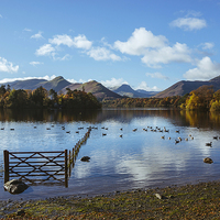 Buy canvas prints of View over Derwent Water with Cat Bells and Derwent by Liam Grant