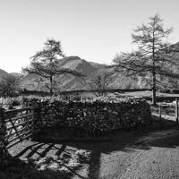 Buy canvas prints of Larch trees and remote road to Thorneythwaite Farm by Liam Grant