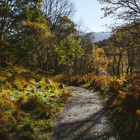 Buy canvas prints of Footpath to the Bowder Stone in Borrowdale. by Liam Grant