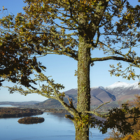 Buy canvas prints of View over Derwent Water to Keswick and Skiddaw. by Liam Grant