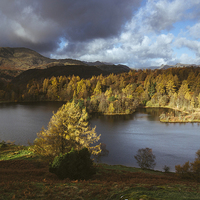 Buy canvas prints of Sunlight over Tarn Hows with Wetherlam and Langdal by Liam Grant
