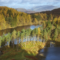 Buy canvas prints of Sunlight over Tarn Hows with Helvellyn beyond. by Liam Grant
