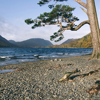 Buy canvas prints of Sunlight on the shore of Buttermere. by Liam Grant