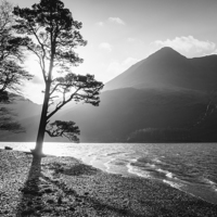 Buy canvas prints of Silhouetted tree on the shore of Buttermere with H by Liam Grant