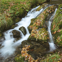Buy canvas prints of Woodland stream waterfall near Buttermere. by Liam Grant